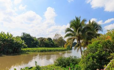 生态演讲稿模板7篇