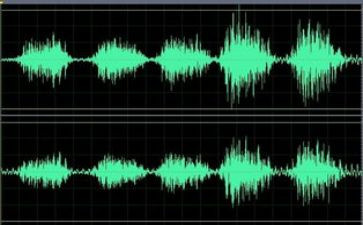树的声音作文模板8篇