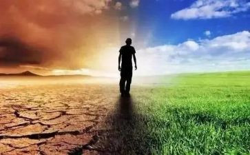 生与死话题作文优质5篇