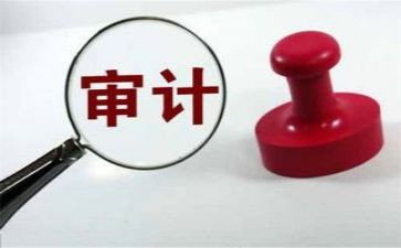 审计人年终总结最新5篇