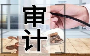 审计所工作总结6篇
