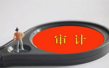 及内部审计工作总结7篇