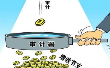 做审计的心得体会通用5篇