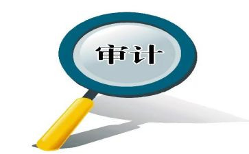 审计站个人总结模板8篇
