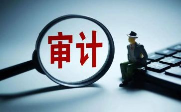 做审计的心得体会精选8篇