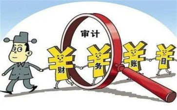 做审计的心得体会优秀7篇