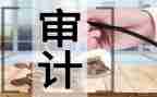 审计所工作总结6篇