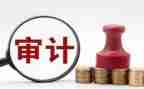 审计单位个人总结6篇