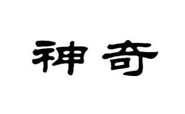 神奇的书的作文模板5篇
