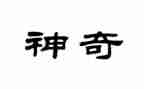 神奇的书的作文模板5篇