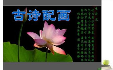 诗活动总结作文推荐6篇