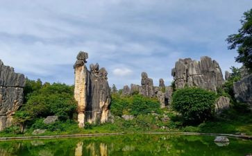 作文石林600字5篇