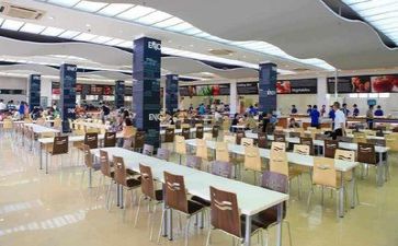 守食堂工作总结最新6篇