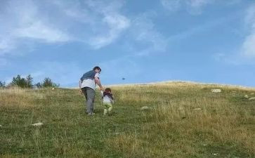 十五岁,我多了一份作文6篇