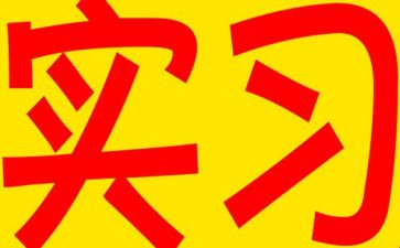 实习前个人总结通用8篇