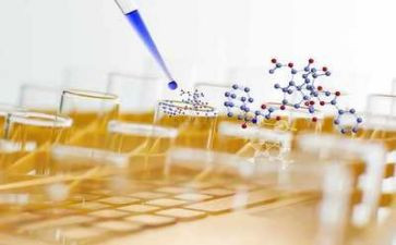 实验室月工作总结精选8篇