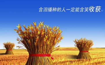 2024年我的收获作文5篇