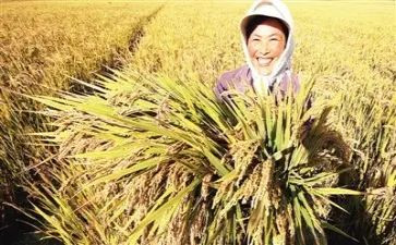 总结工作和收获的工作总结最新5篇