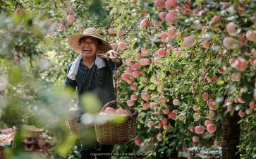 入职收获和心得体会6篇