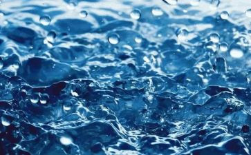水果做活动方案模板5篇