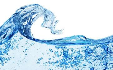 水果歌教案小班语言教案通用7篇