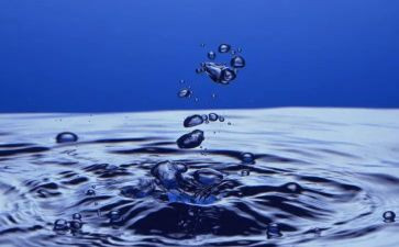 水的心得体会800字优秀8篇