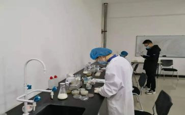 水化验工作半年工作总结5篇