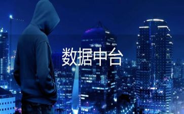 数据式年终总结最新8篇