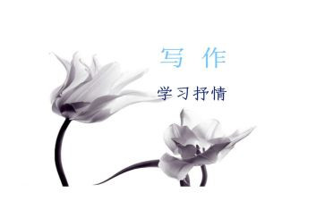 抒情类初中作文优秀6篇