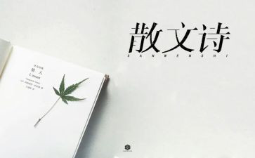 抒情怀作文8篇