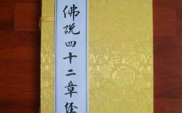教师四说发言稿范文优秀8篇