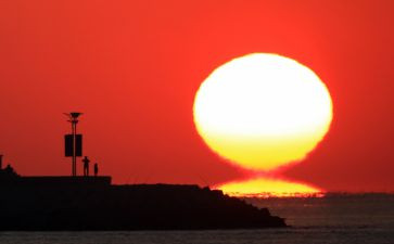 幼儿园大班种太阳教案5篇