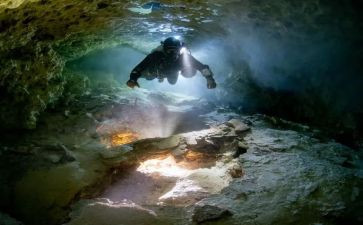 书中的探险之旅作文5篇