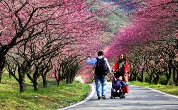 踏青类作文优质6篇