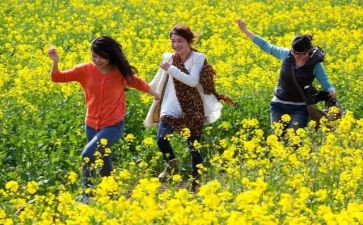 踏青类作文模板6篇