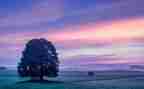 我的一片天空600字作文6篇