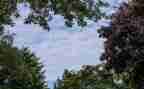我的一片天空600字作文推荐8篇