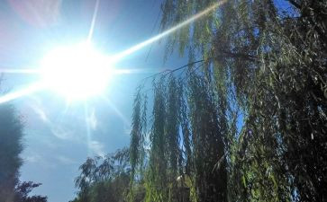 2.5天气预报教案优秀5篇