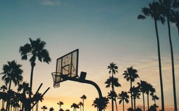 年终总结体育个人总结8篇