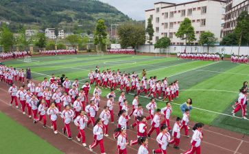 体育活动幼儿园教案模板5篇