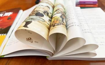 小巴掌童话写读后感6篇