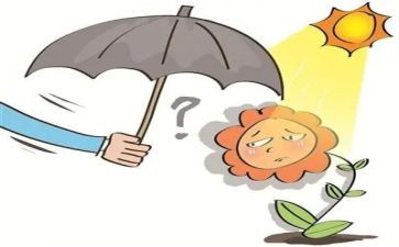 同情作文最新6篇