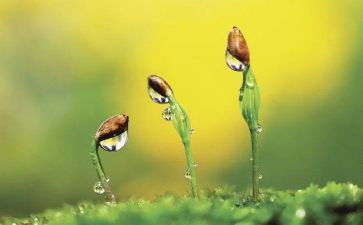 同行作文通用8篇