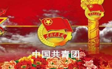市级优秀团干部事迹6篇