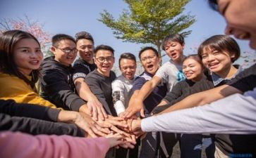 公司团建的活动方案最新5篇