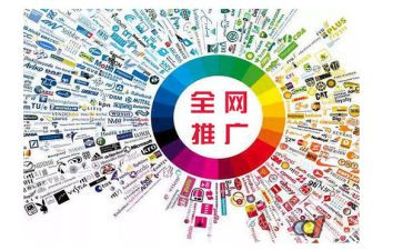 网络推广个人年终总结6篇