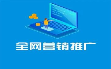 网络推广的年终总结7篇