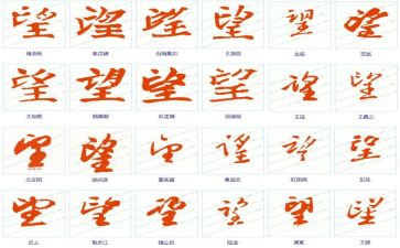我的愿望800字作文5篇