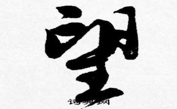 我盼望了作文500字6篇