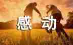 我感动我作文300字5篇